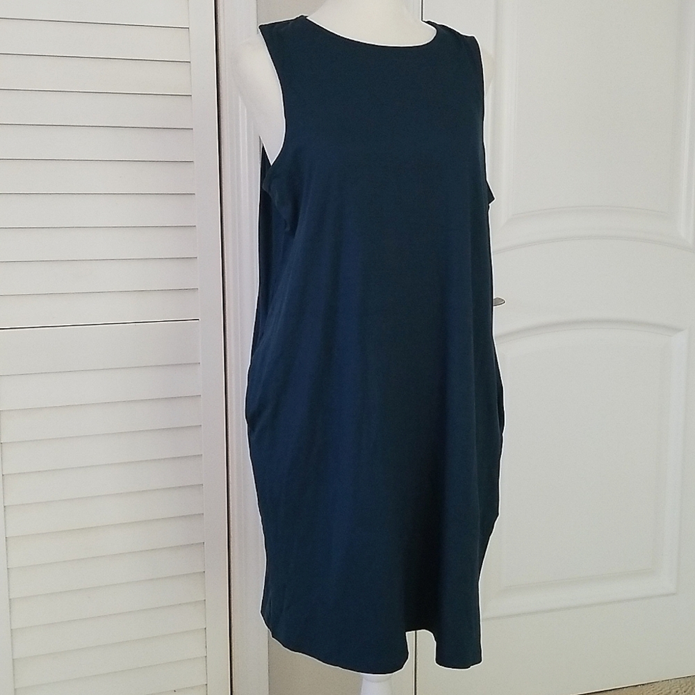 Ava Sky Twiggy Dress in Teal (L)